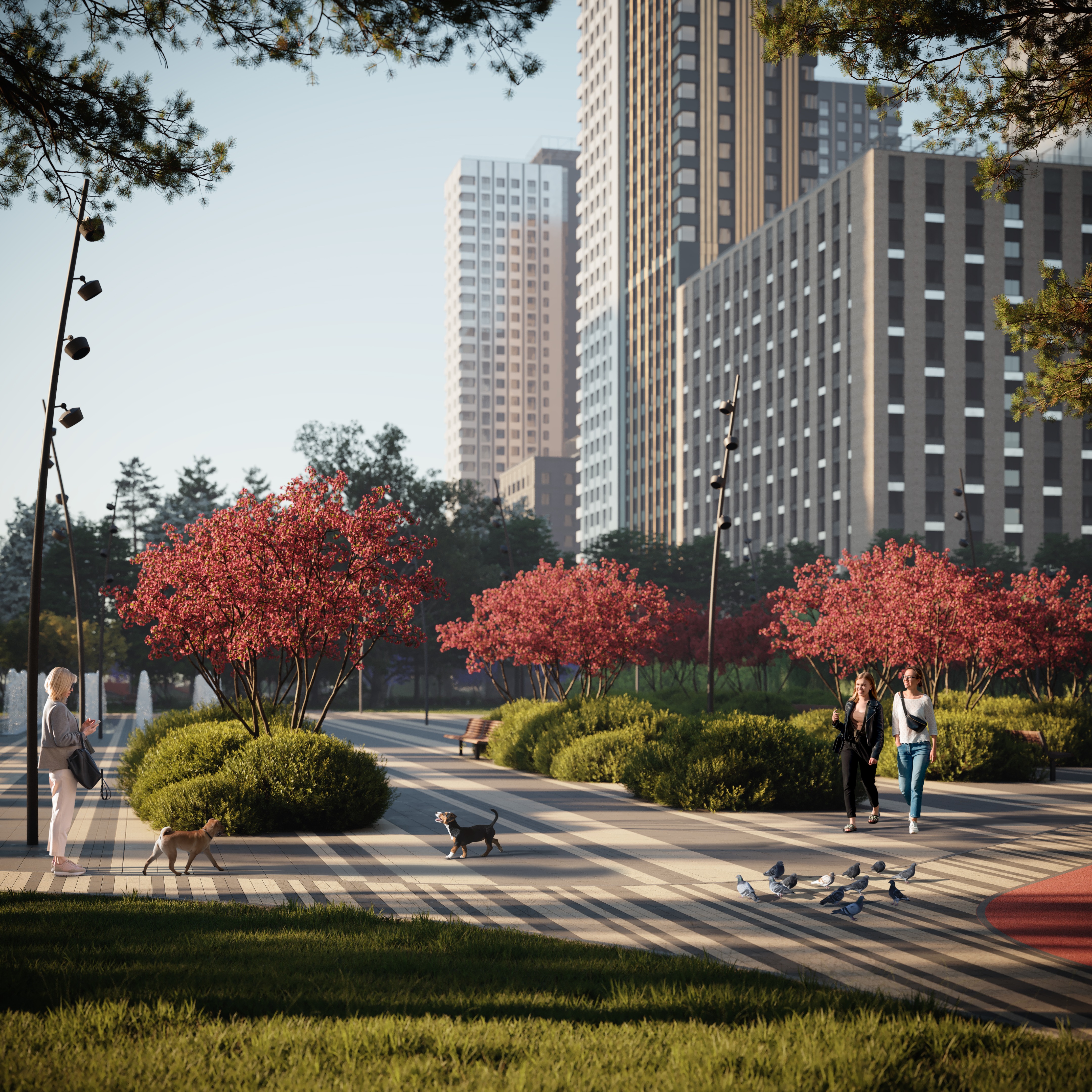 公园丨Architectura丨Balancelandscape-12