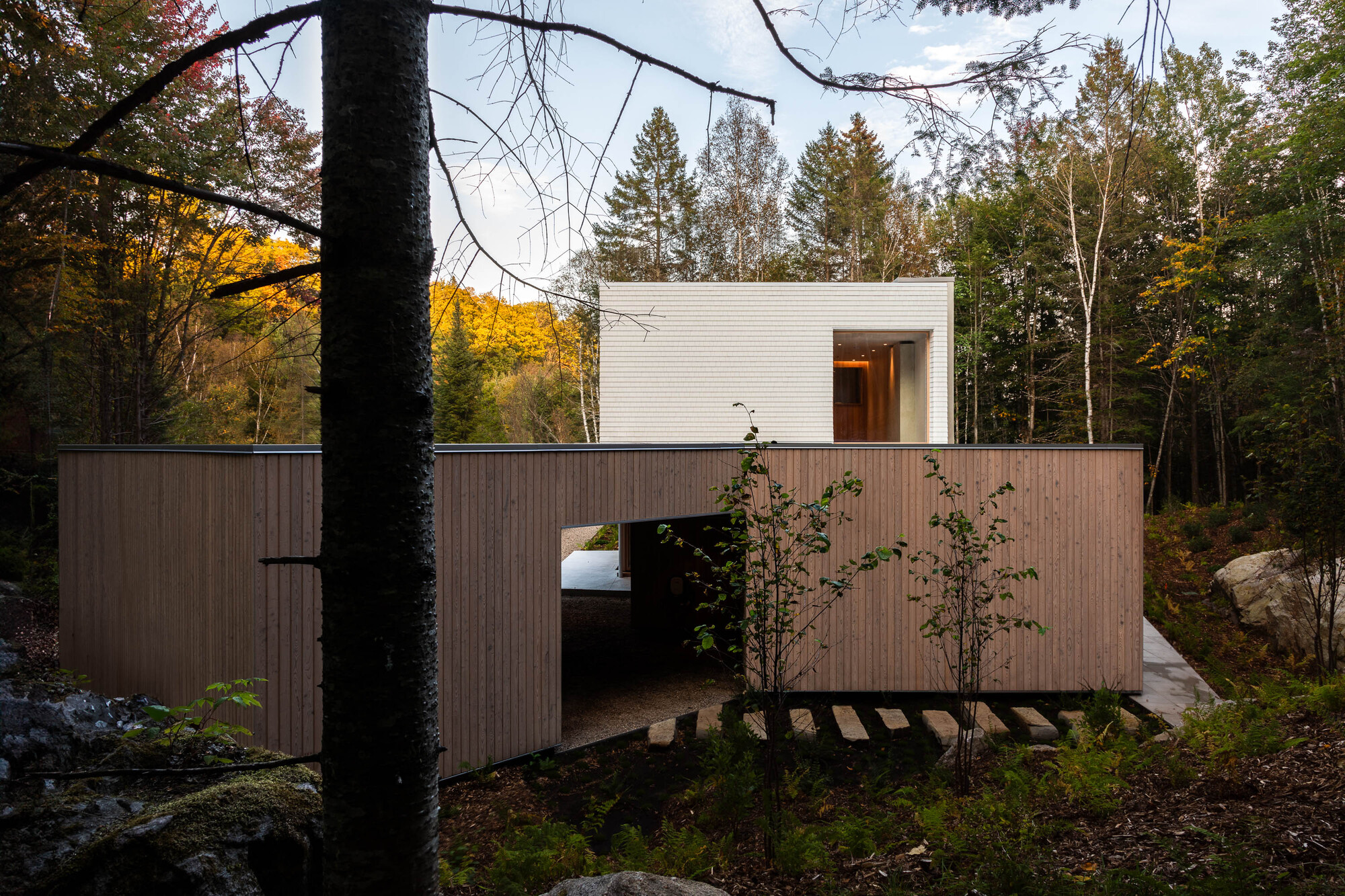 现代别墅丨加拿大丨Leopold Banchini Architects-14