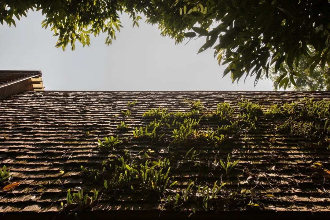 670㎡度假村 | 原生态木工作坊,Glenn Murcutt 式偏远地区建筑技巧-22