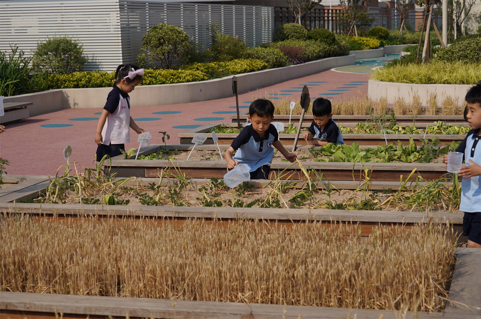一八学校幼儿园(理想国校区)丨中国郑州丨翰祥景观-94