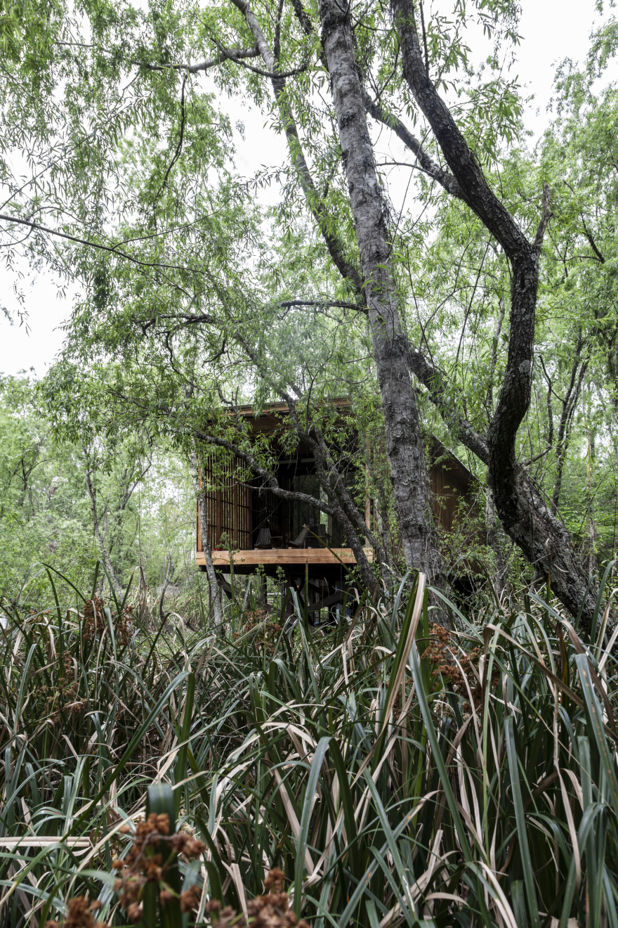 House in Delta Buenos Aires / Matías Cosenza Arquitecto-31