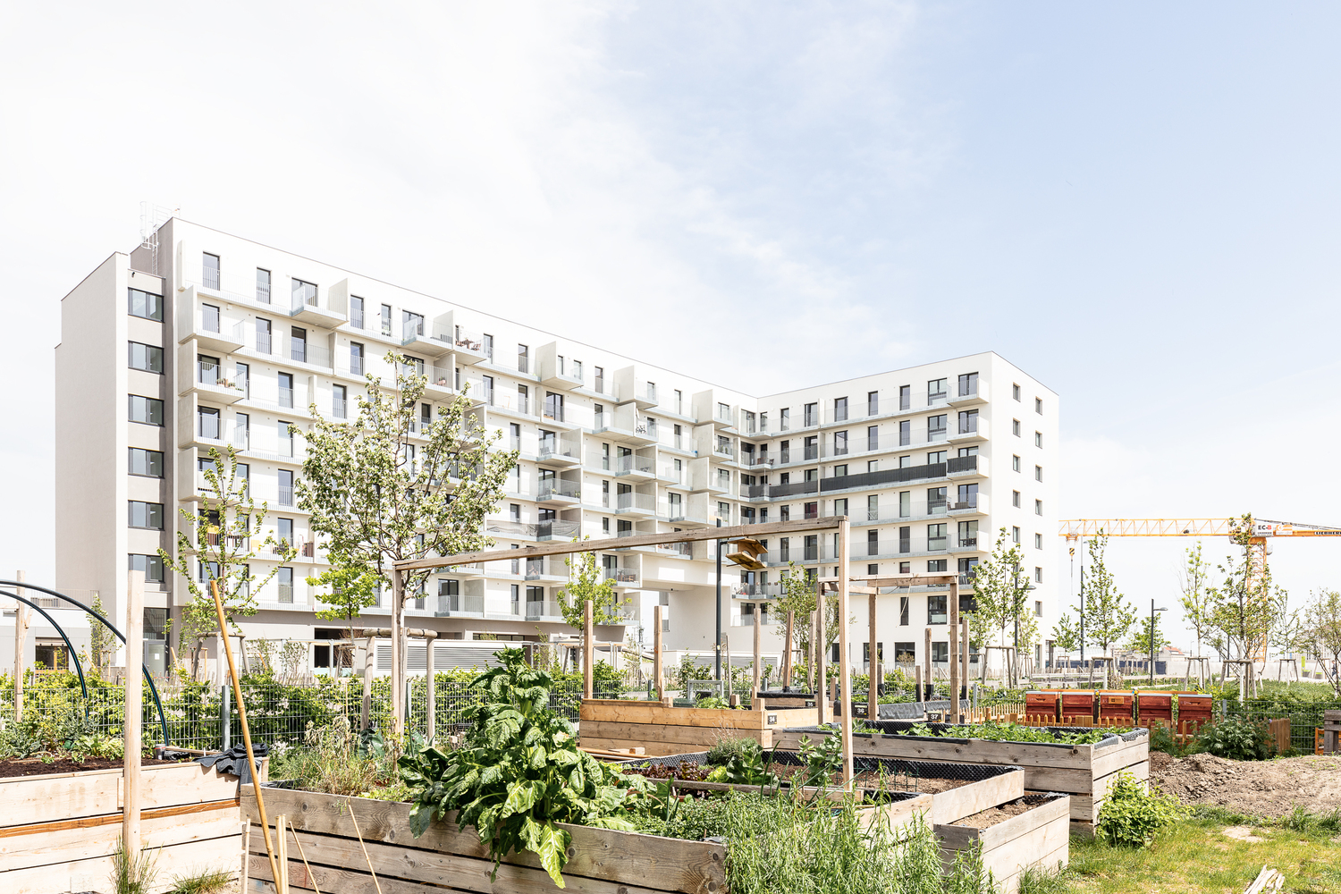 维也纳“公园遇见城市”住宅设计-29