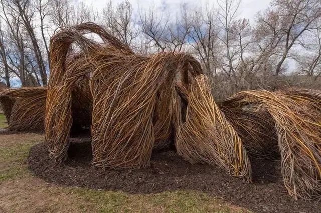 森林幻想家 | Patrick Dougherty 的树枝艺术-8