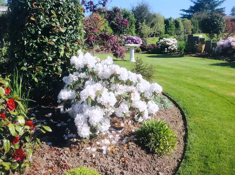 La Marque花园丨一位景观设计师（未提及具体姓名）-5