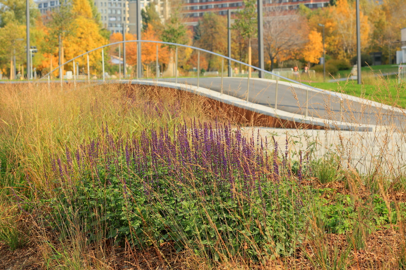 Krymskaya 堤坝景观公园丨俄罗斯莫斯科丨Wowhaus Architecture Bureau-95