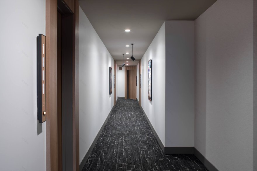 丨美国丨Vida Design-45