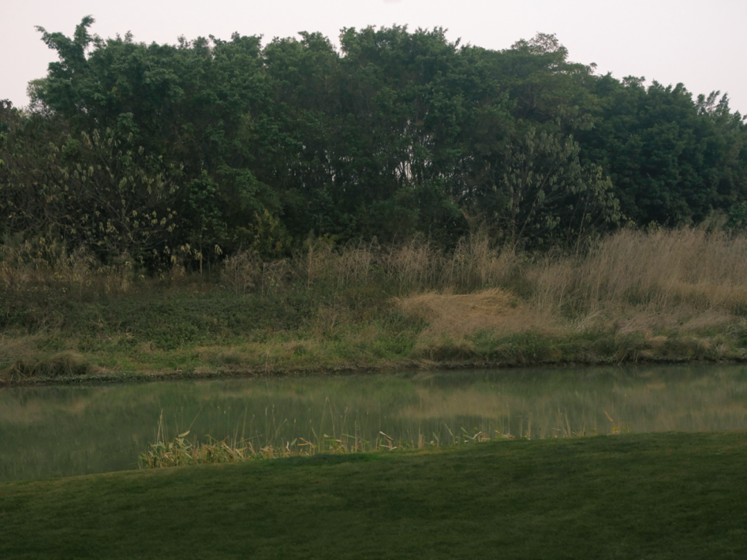 招商·佛山序丨中国佛山丨成都麦微景观建筑事务所,华阳建筑,明德设计-20