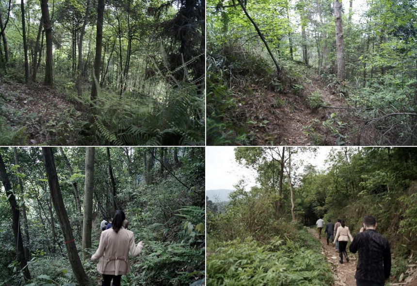 峨眉山会宗书院建筑设计丨中国眉山丨上海尤安建筑设计股份有限公司-16
