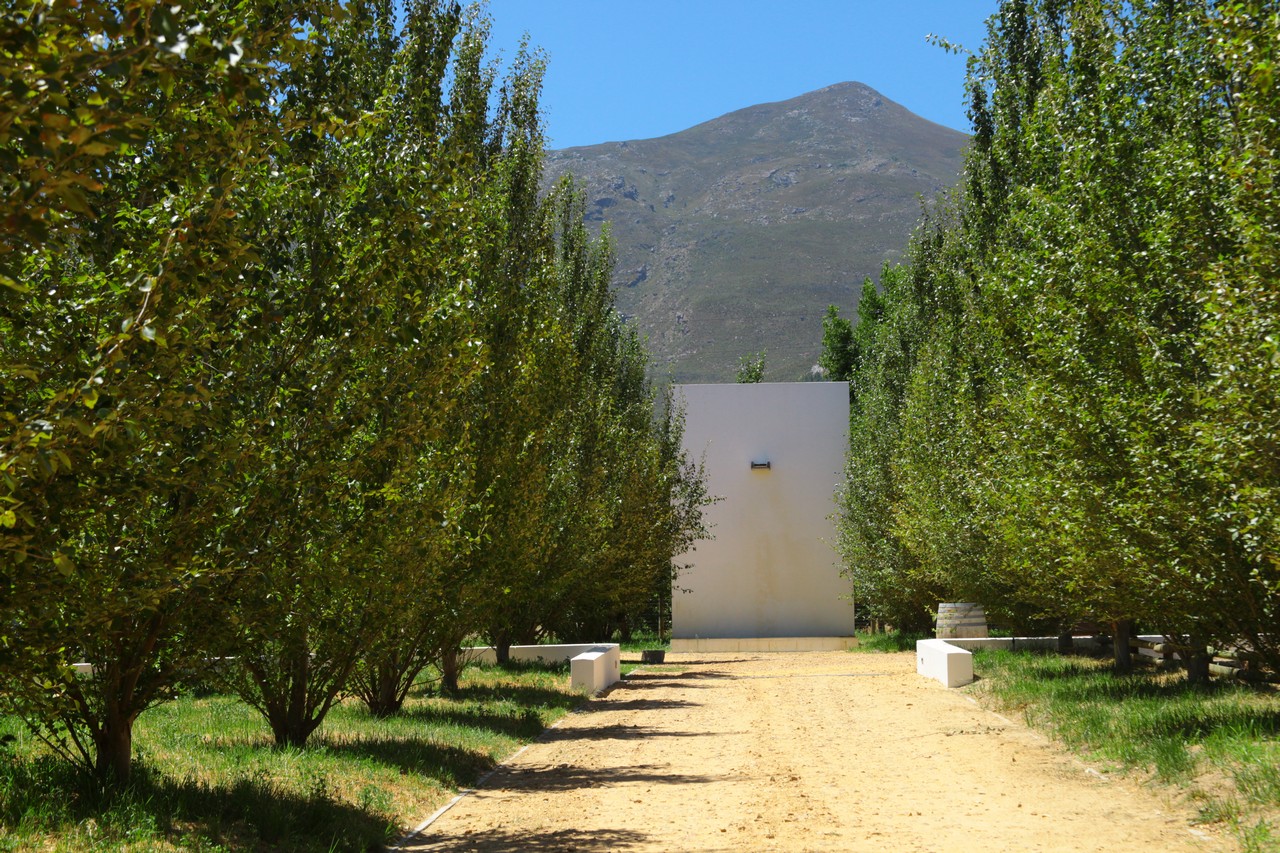 南非 Franschhoek 山谷的现代私人住宅-16