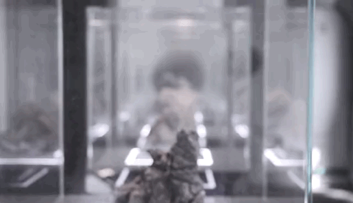 天鹅堡三期艺术样板房-14