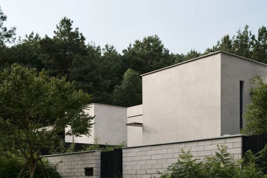 山谷松林里的隐世秘境之旅|PrivateJourneyinthePineryValley-123