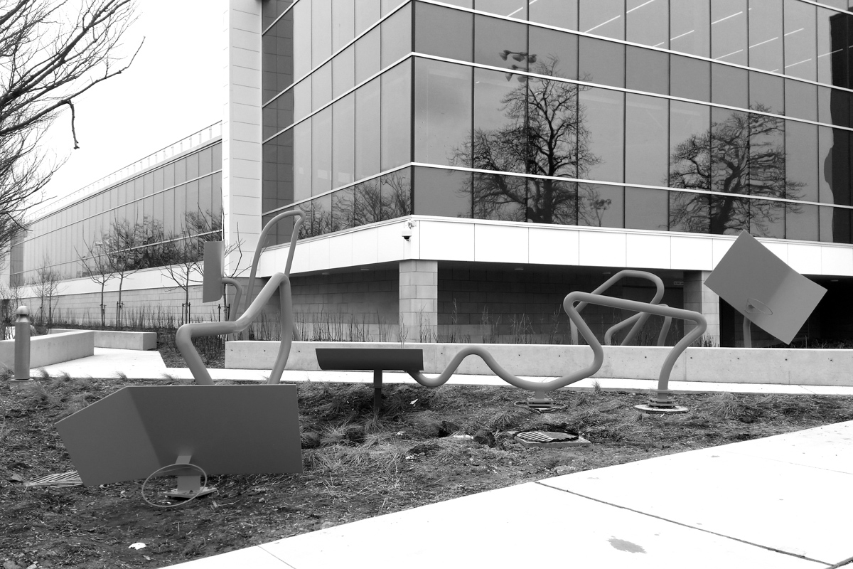 Raptors Hoops | Eventscape-10