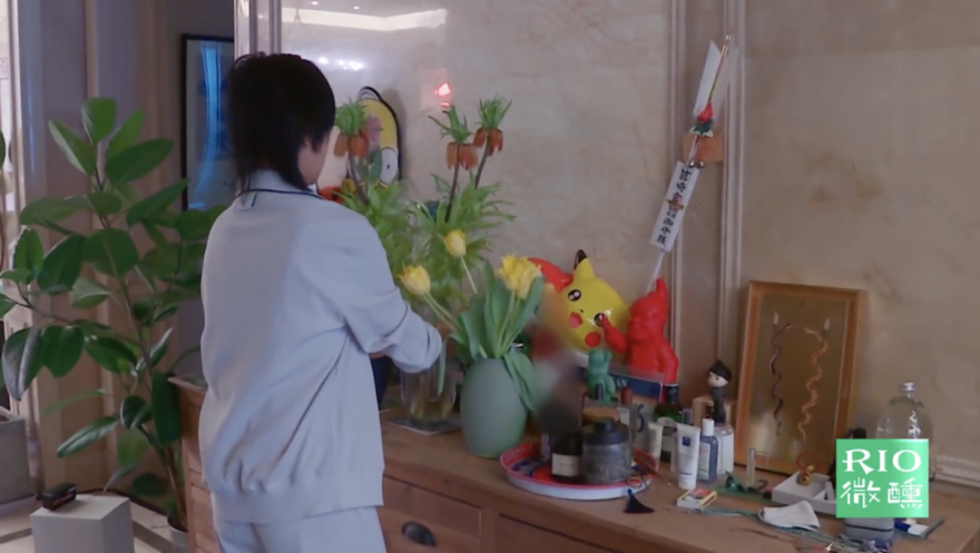 周笔畅的独居生活 | 仪式感与自由并存的家-59