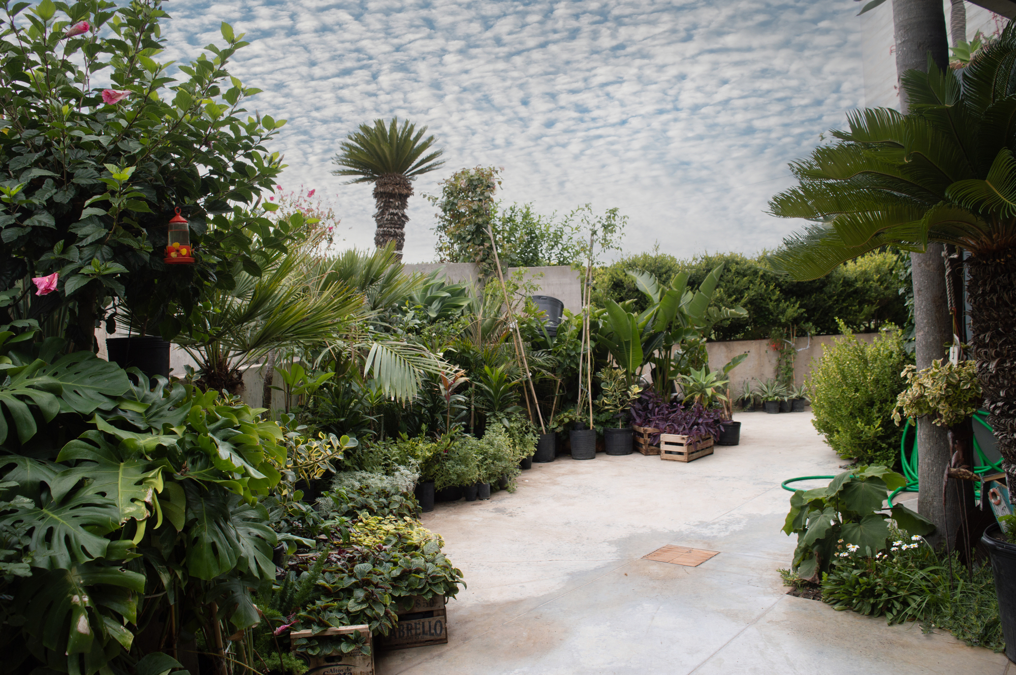 米拉多尔住宅丨阿根廷马德普拉塔-25