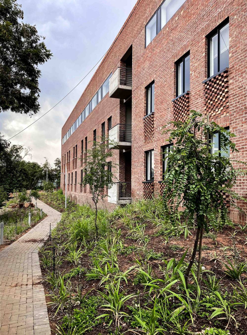 南弗里卡佩斯奎萨科学中心-46