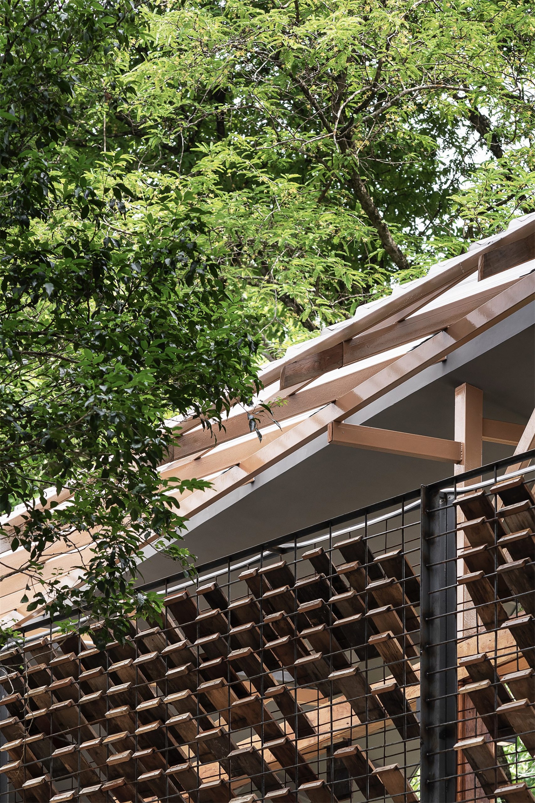 大本营步道供应总部丨泰国清迈-47