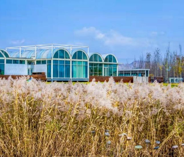 建证美好时代·优秀设计项目展播｜云竹湖文化旅游度假景区总体环境设计-76