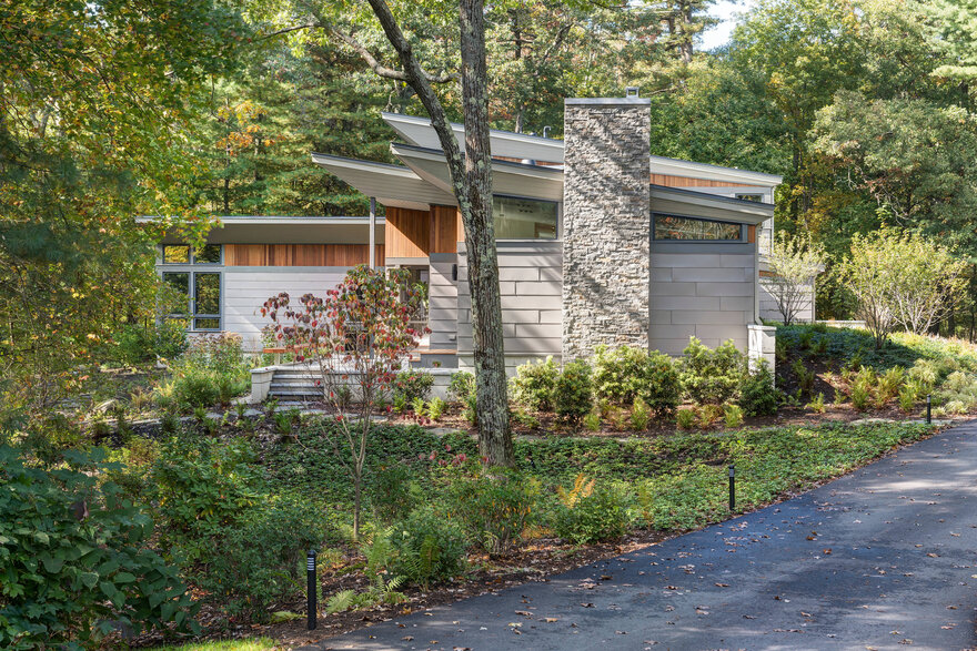 Woodland Retreat / Flavin Architects-16