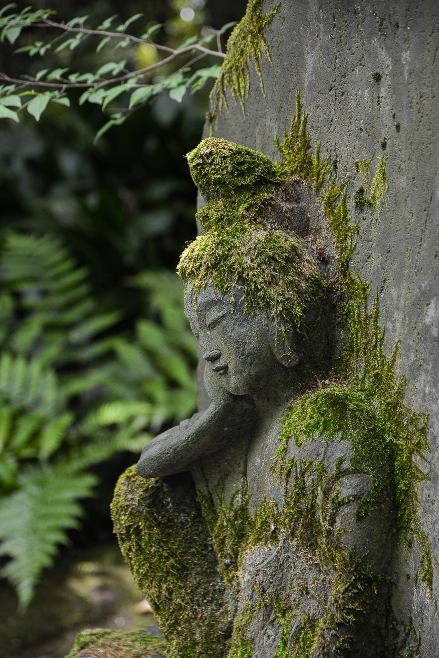 根津美术馆丨日本丨隈研吾-4