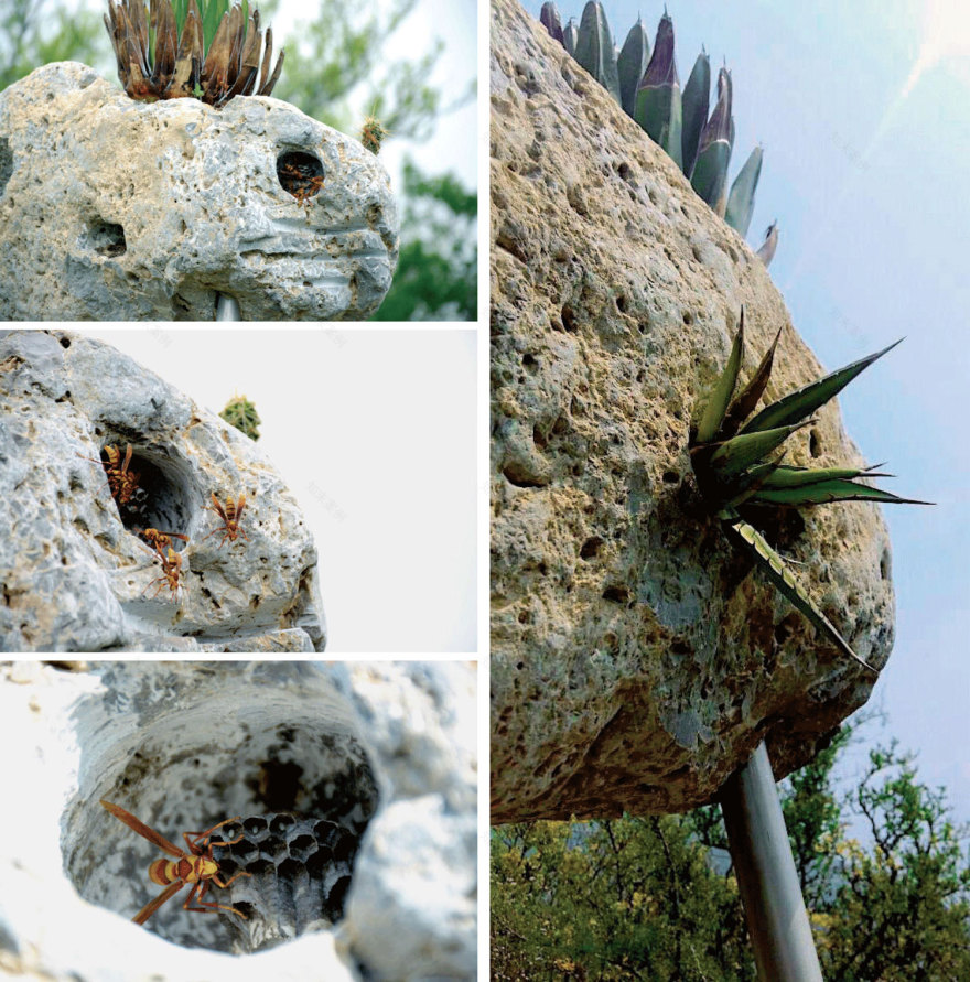 共生荒原 · 揭示人与自然和谐共生的景观建构-30