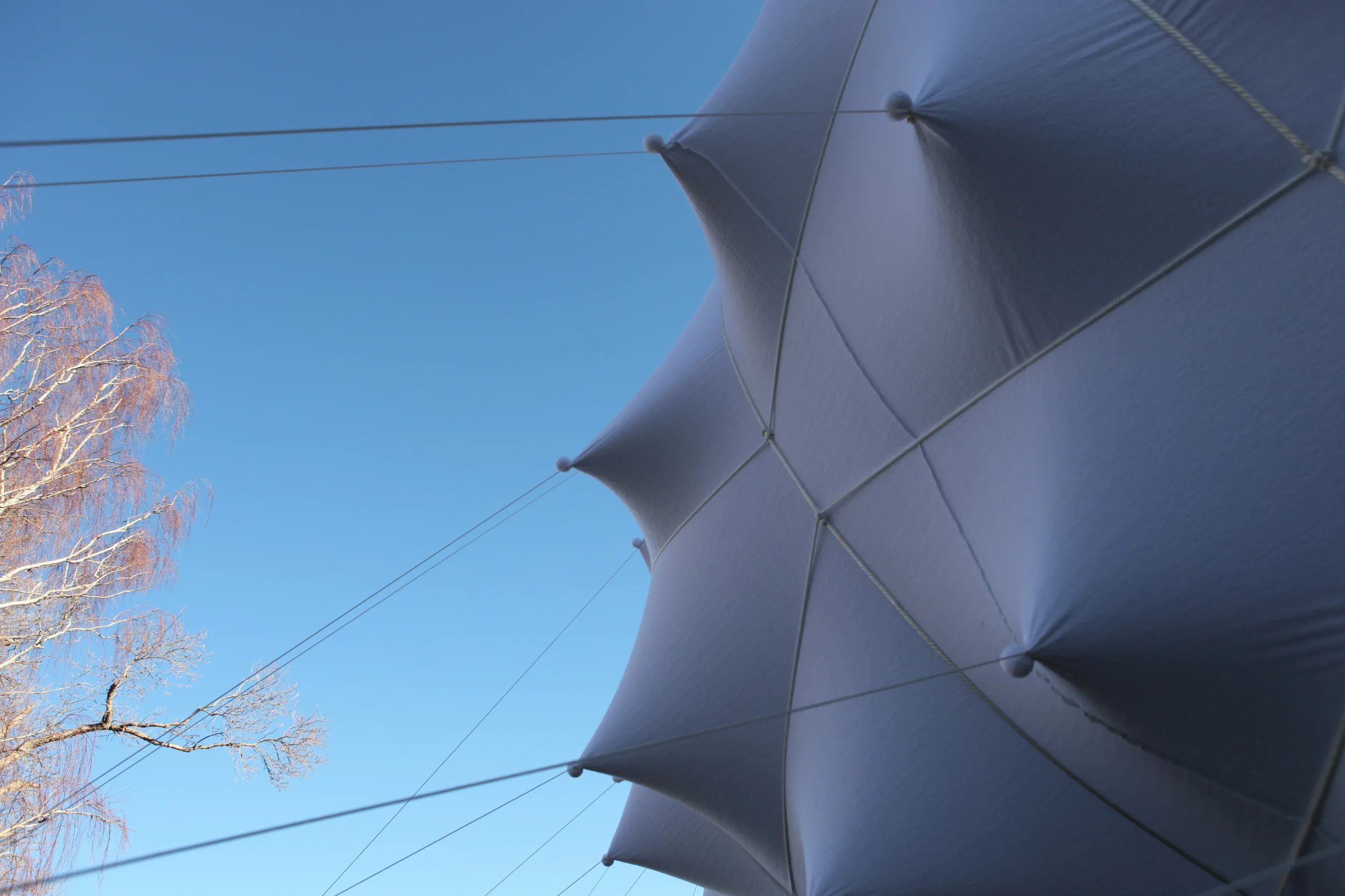 蜂群;一群(昆虫、人等);一大群;蜂拥而至;成群移动;云集丨加拿大丨Lancelot Coar-11