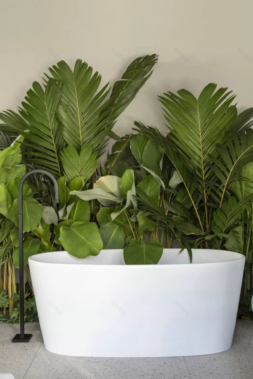 绿意盎然,简约为尚,蓝调清凉——现代家居设计之美-25