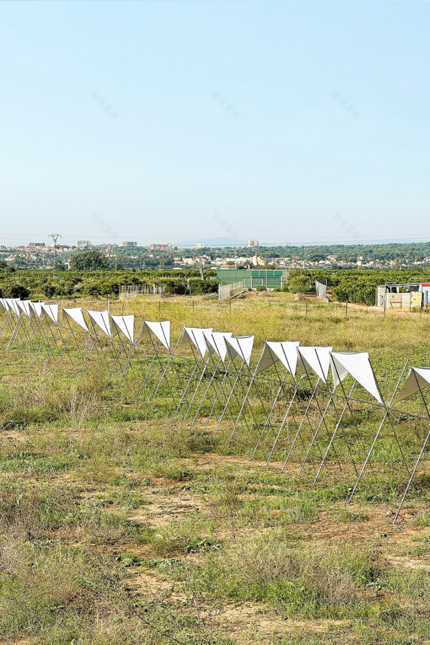 地平线展馆丨厄瓜多尔丨Eletres Studio-75