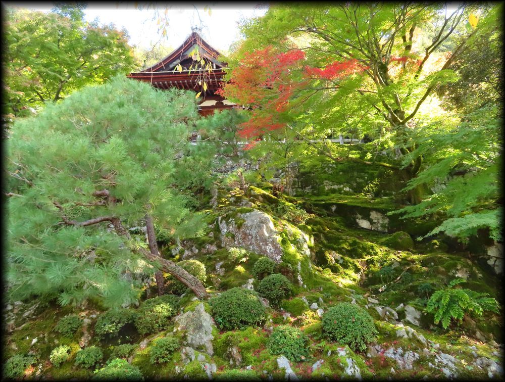 知恩院方丈庭園,山亭庭園丨日本京都丨僧·玉淵-46