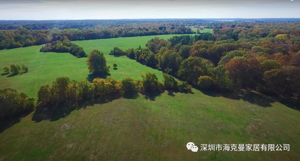 Hickory Chair 案例 / 17 位顶尖设计师，联手改造纽约历史建筑 ​-8