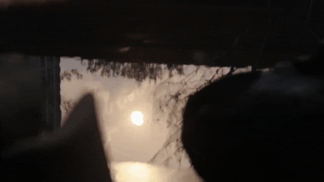 一绿向南，天边有光 | 佛山TIC全球创客小镇 · 时代君林府(大区)-78