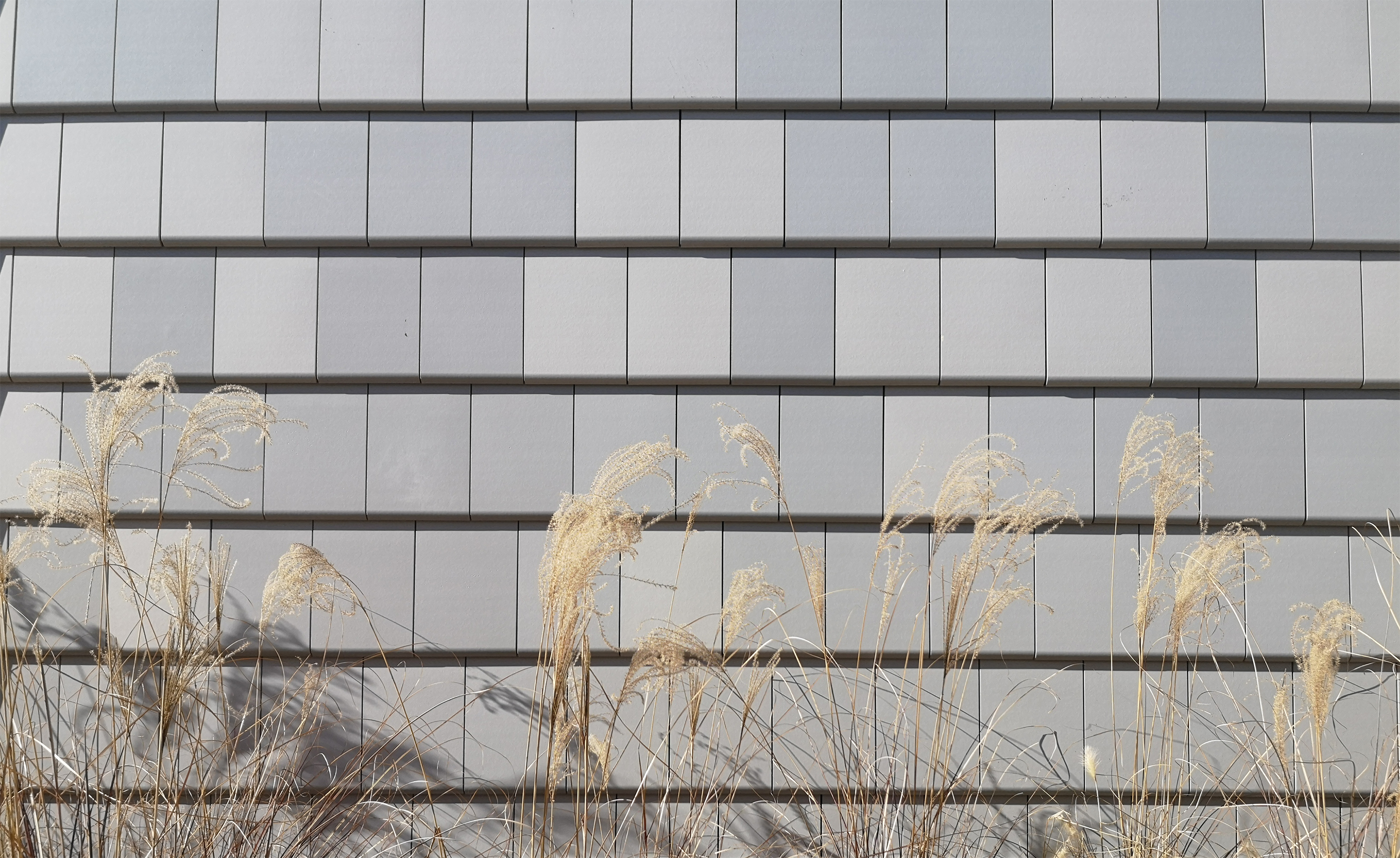 埃科丨Duncan Lewis SCAPE ARCHITECTURE-27