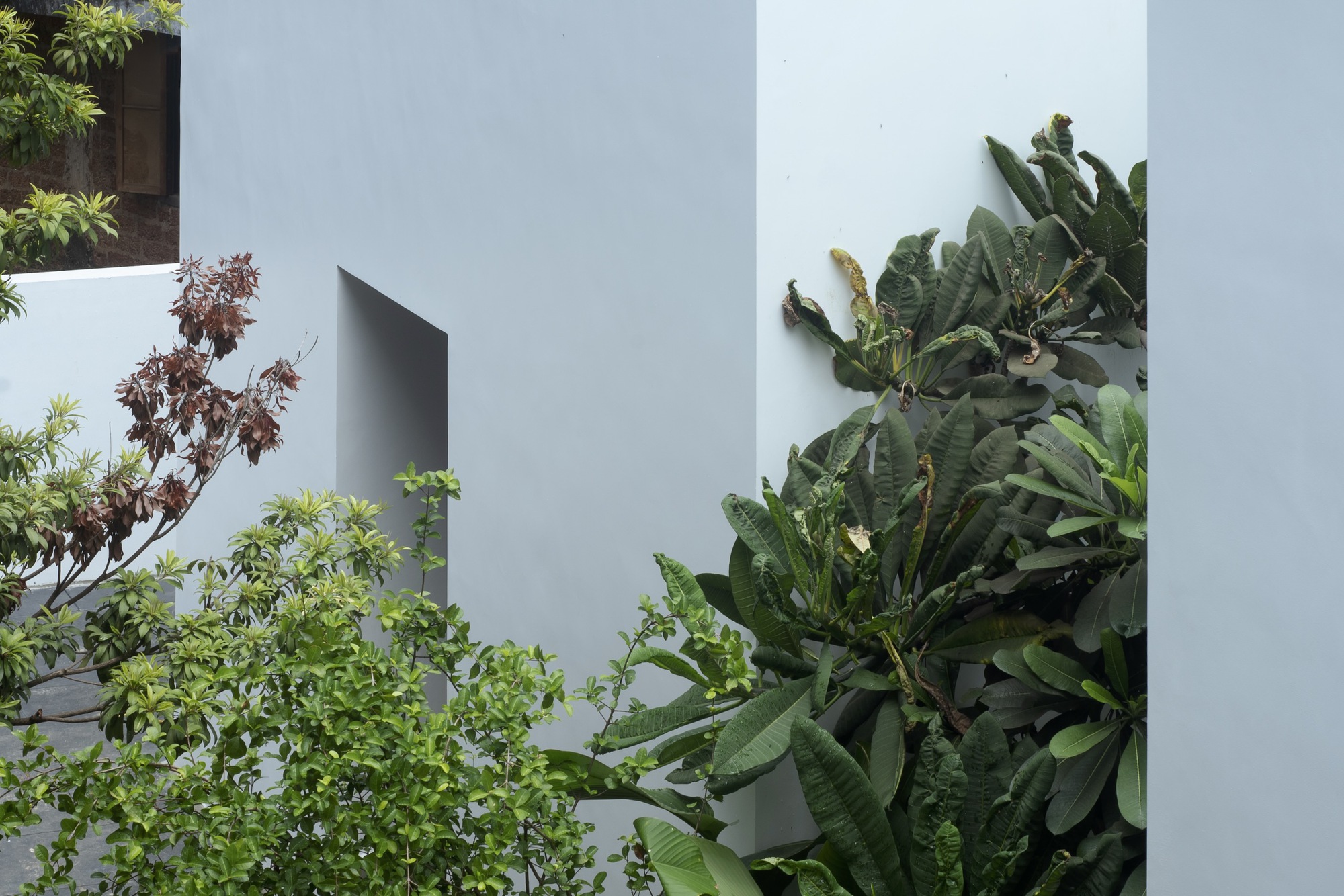 后院的房子丨印度丨3dor Concepts-30