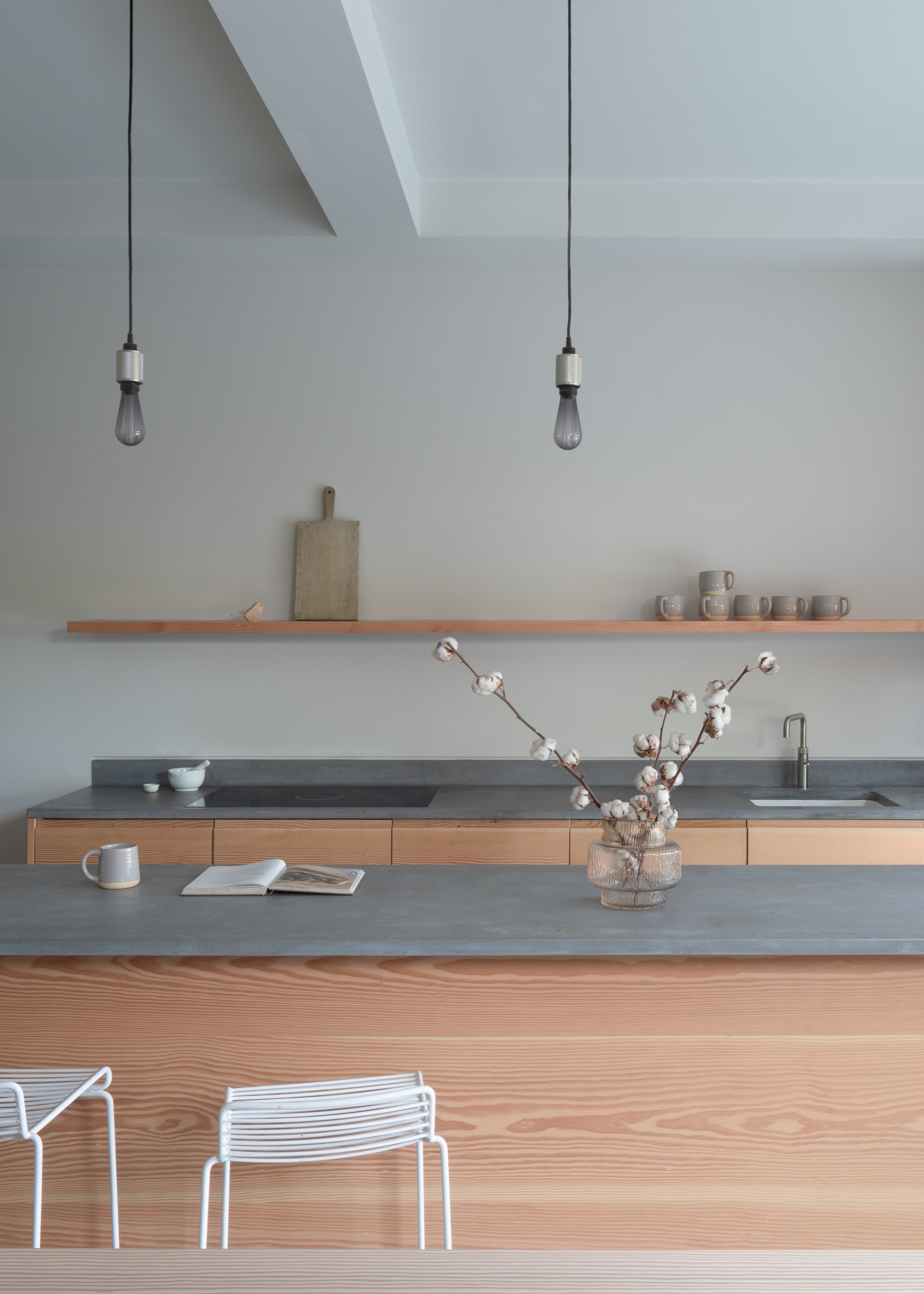 伍德沃德路住宅 E·延伸丨英国丨Proctor & Shaw-29