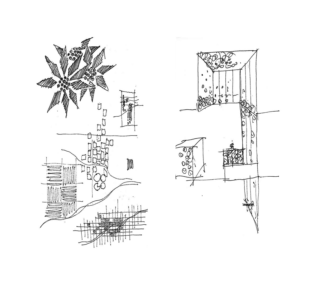 South Mountain Community Library-17