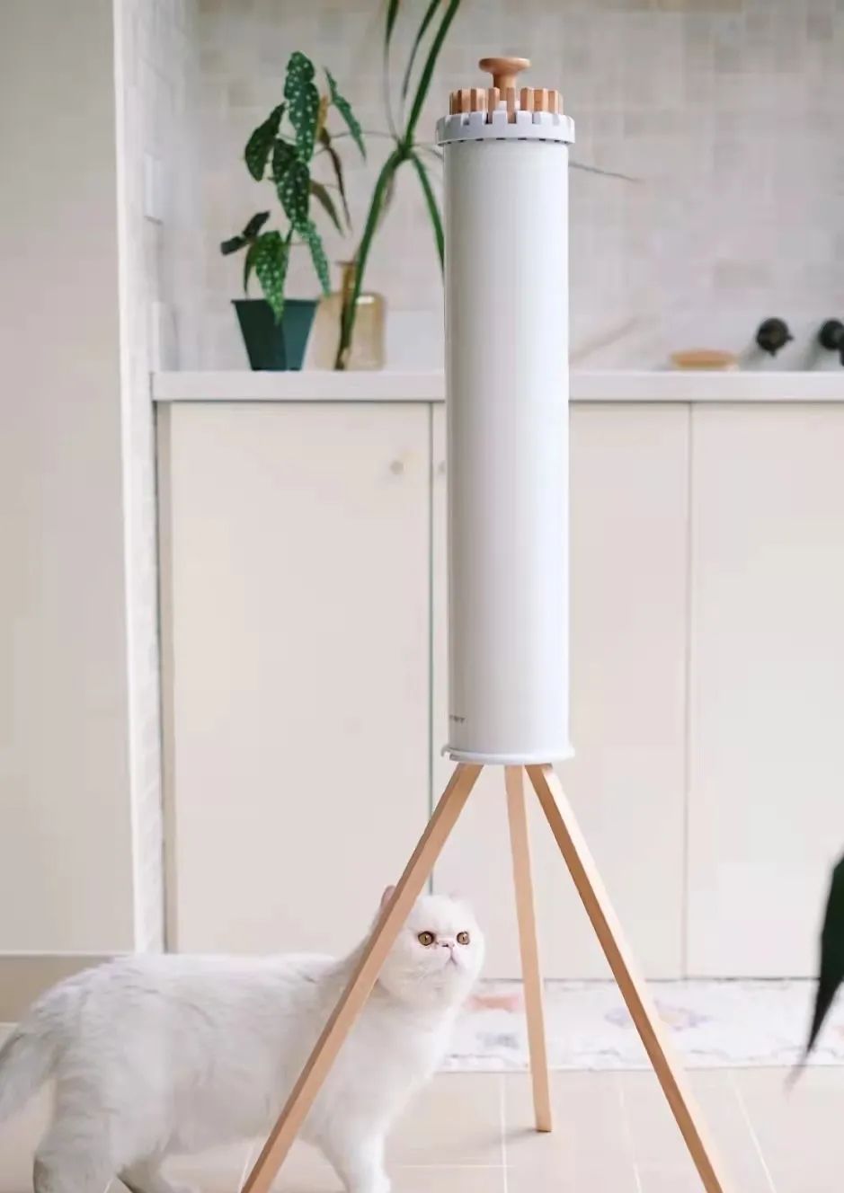 90后女孩回乡打造的梦幻家居丨中国浙江丨屋主路问-107