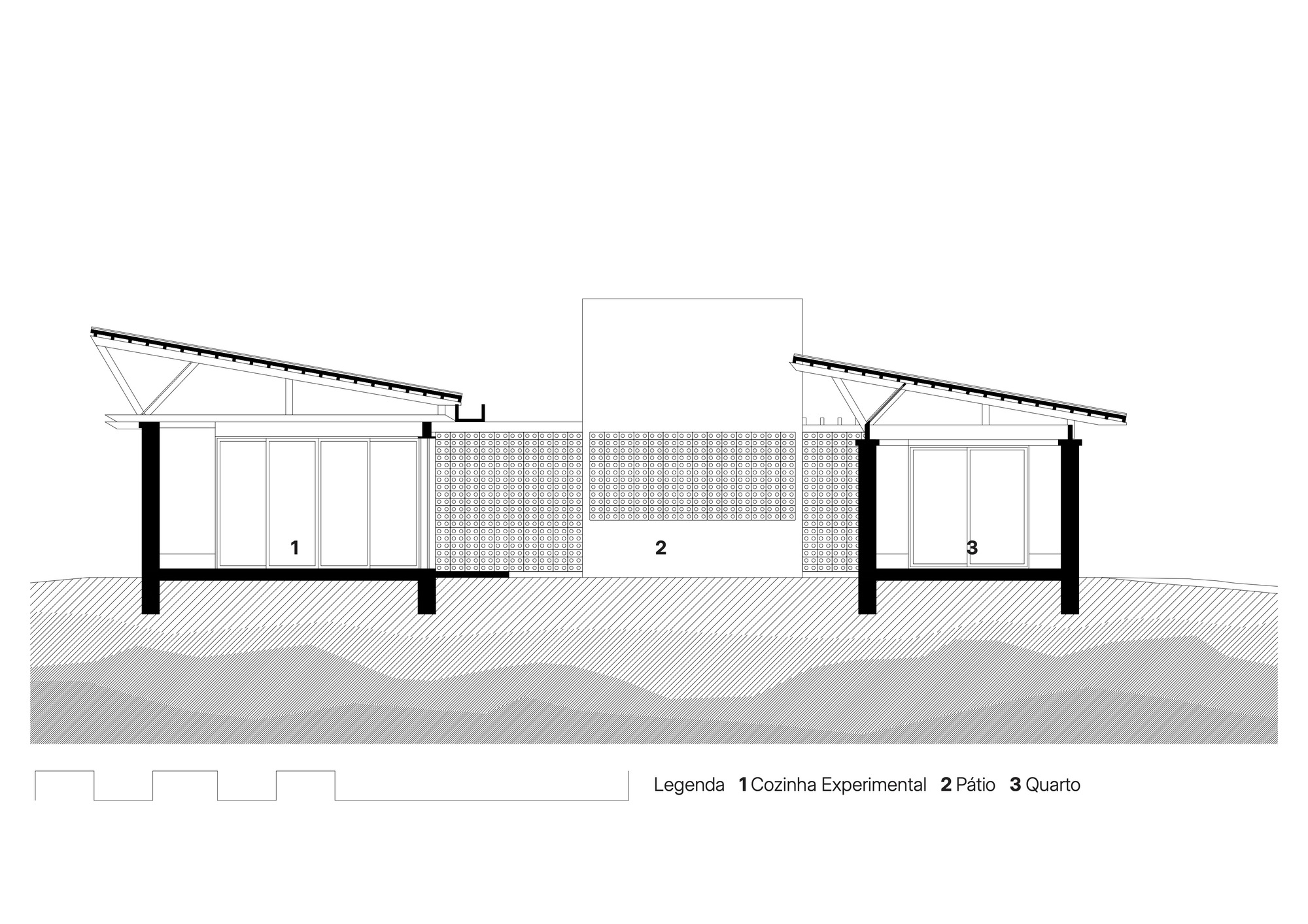 丨巴西伯南布哥丨AzulPitanga-49