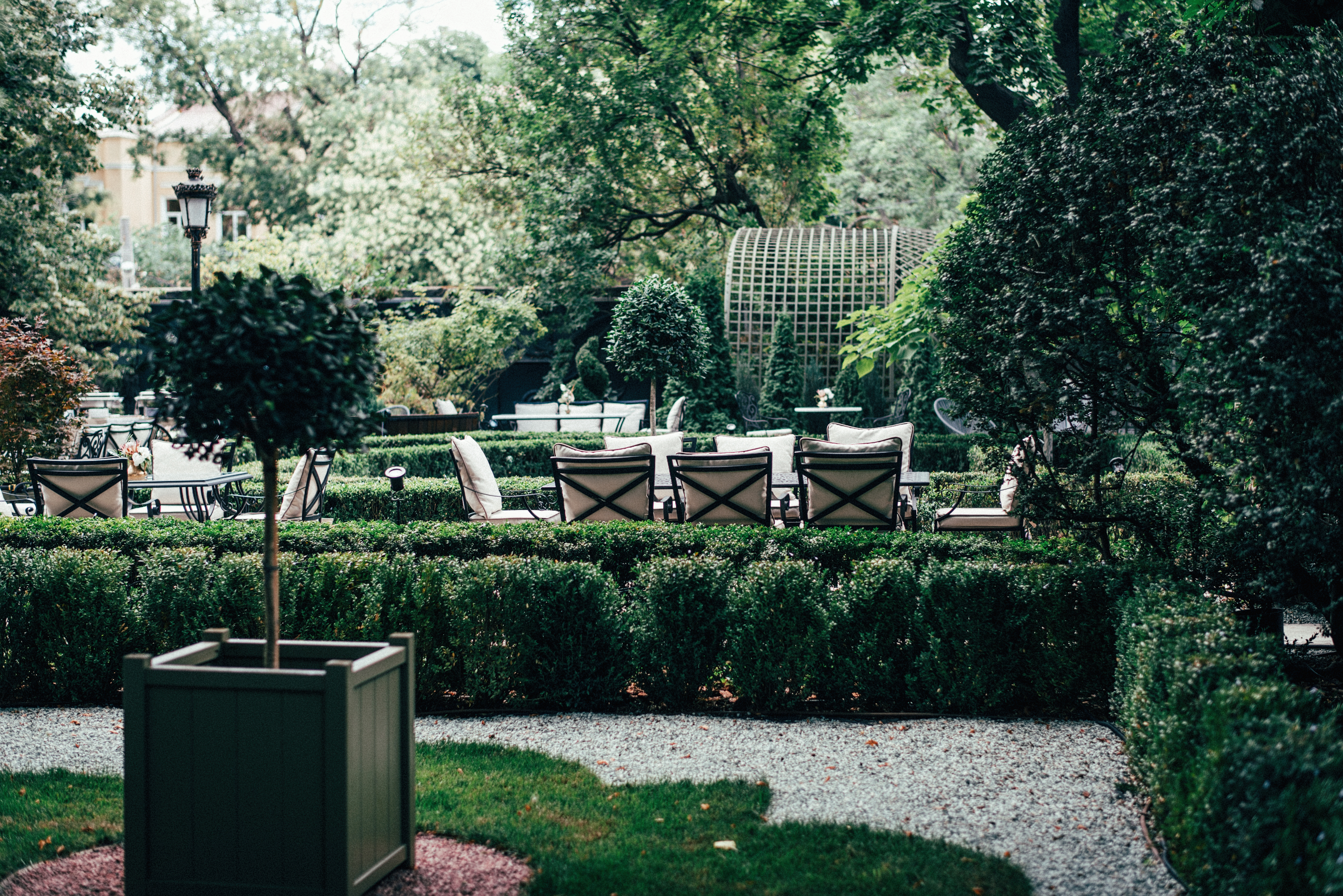 萨巴涅耶夫美食花园丨UkraineOdessa丨Synergy Group-6