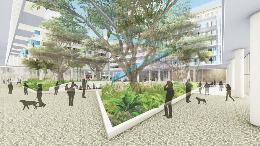 海湾福特的哈德威克酒店(假设The Hardwick是一家酒店名,如果它是其他机构或事物,可根据实际情况调整) 丨美国丨Shulman + Associates-5