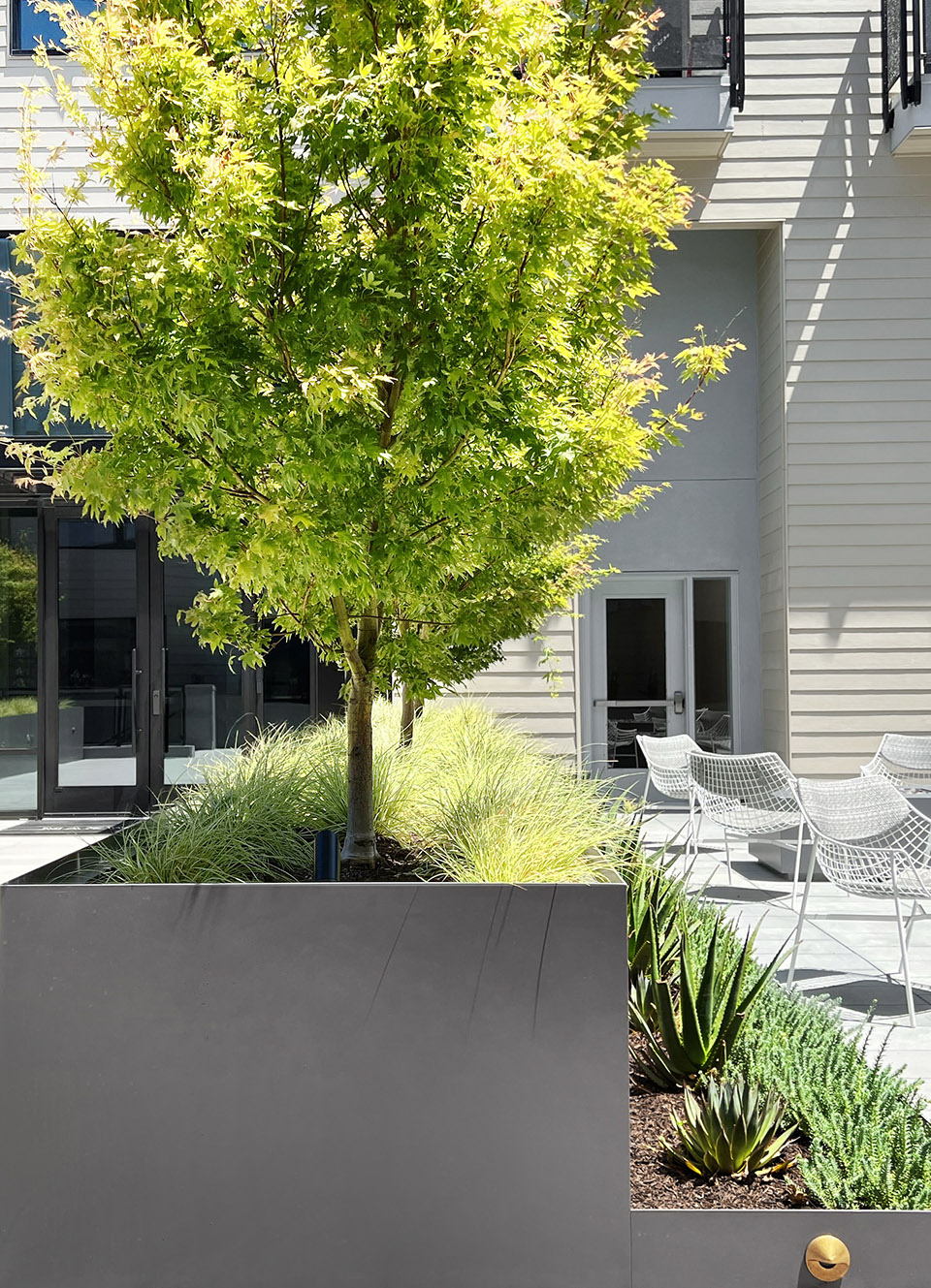 Danny's 餐厅上空花园丨美国加利福尼亚丨Spiegel Aihara Workshop (SAW)-22