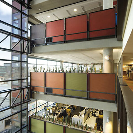 Bendigo Bank by Gray Puksand and BVN Architecture | Australian Interior Design Awards-2