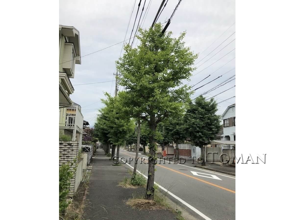 四日市市あがたが丘線ほか８線街路樹管理業務委託-5