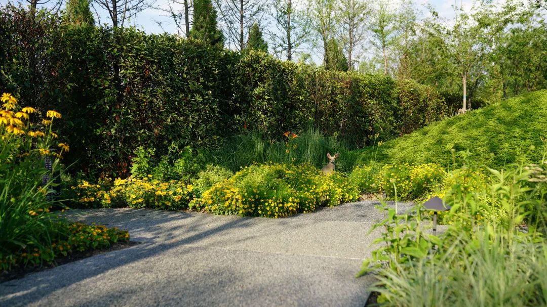 世园会澳大利亚日，感受“慢生活”展园之美-26