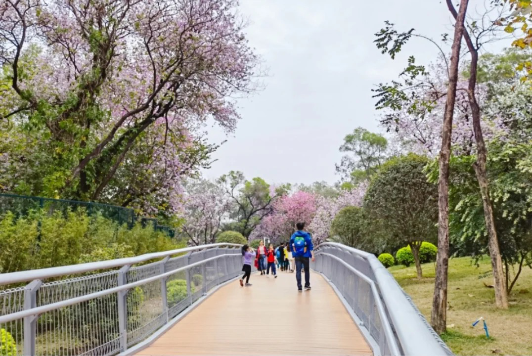 花漾广州 · 四季繁花的花城时空丨中国广州丨GZPI景观与旅游规划设计所-12