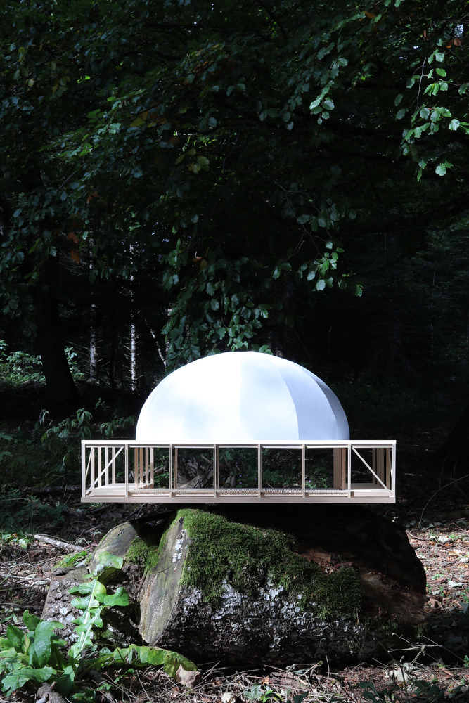 普罗托坎波馆丨WALD-12