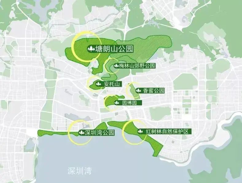 深圳红树林湿地博物馆丨中国深圳丨都市实践+中国城市建设研究院-2