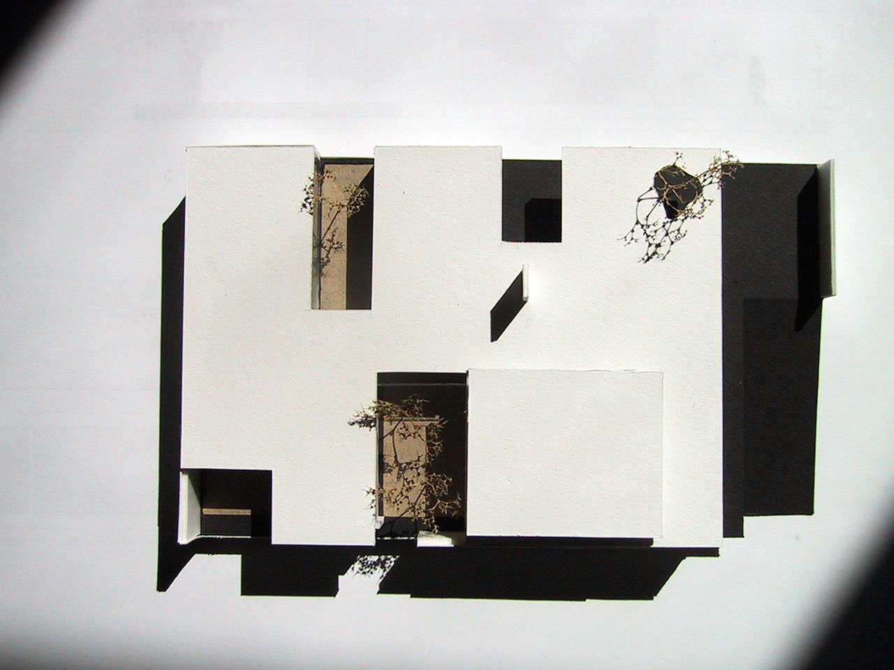  Special House for disabled people 
			-11