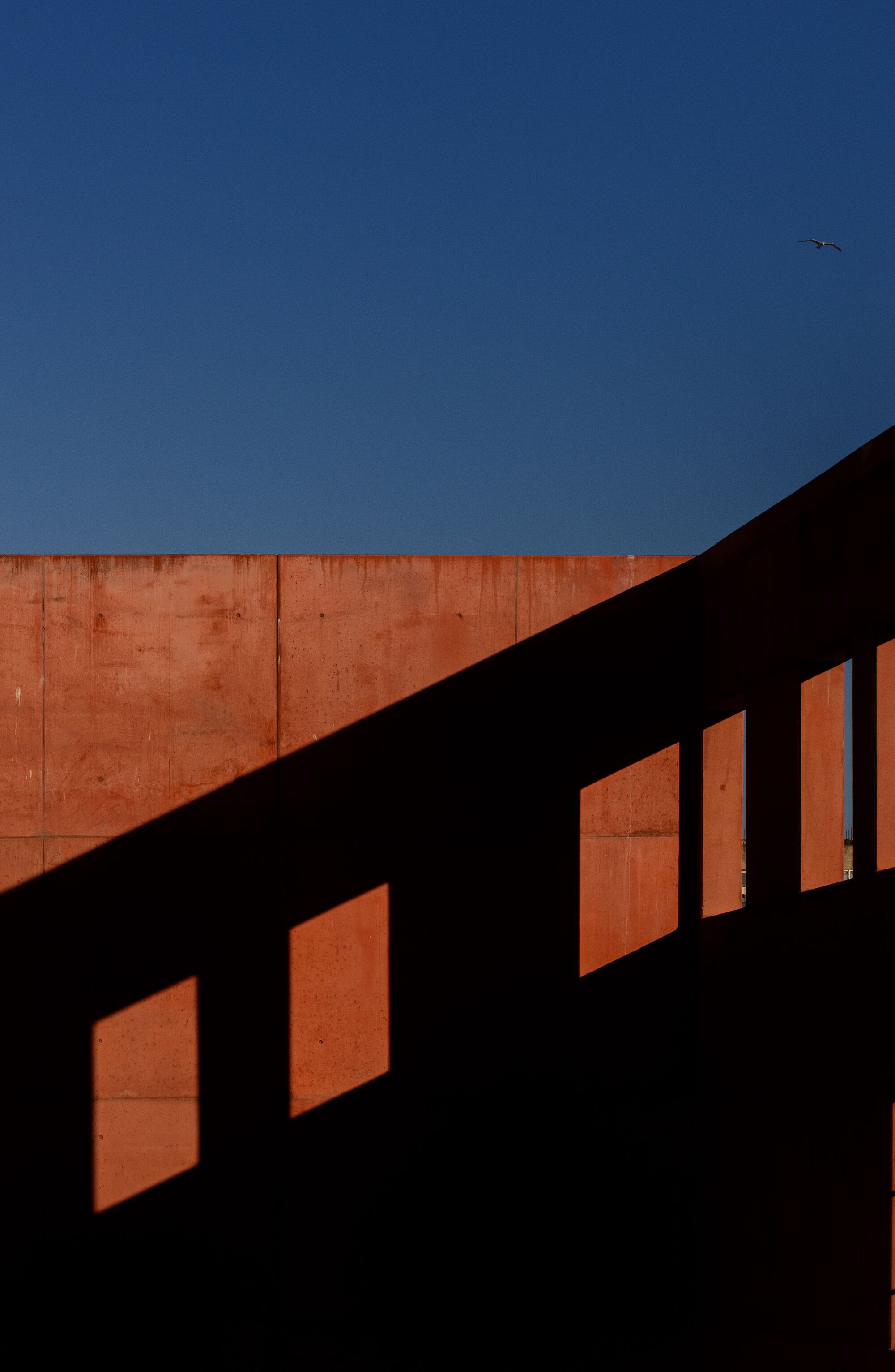 罐头厂外立面改造丨葡萄牙丨OODA-34