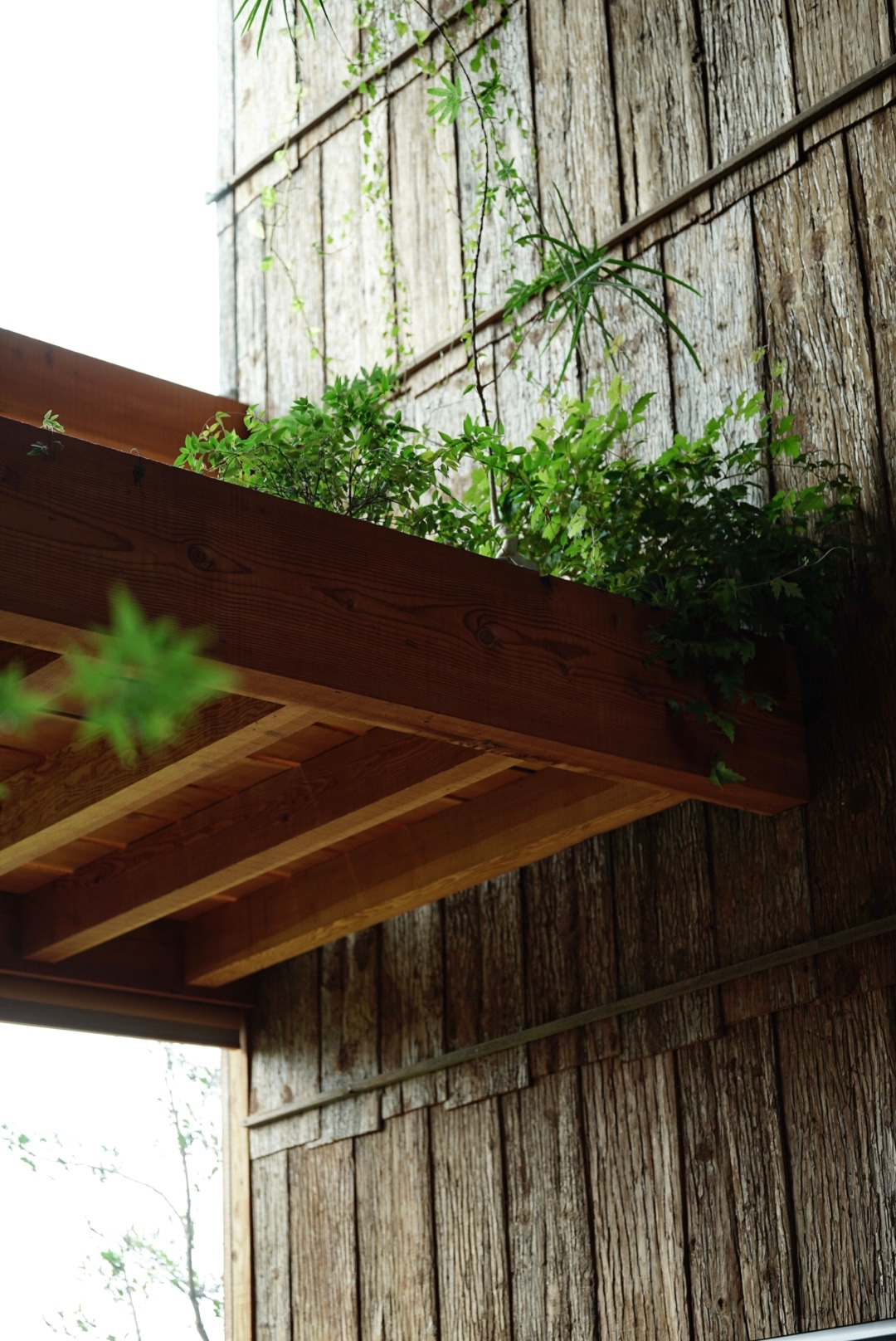 石头缝里的生机 · 大地之家的绿色创新设计-45