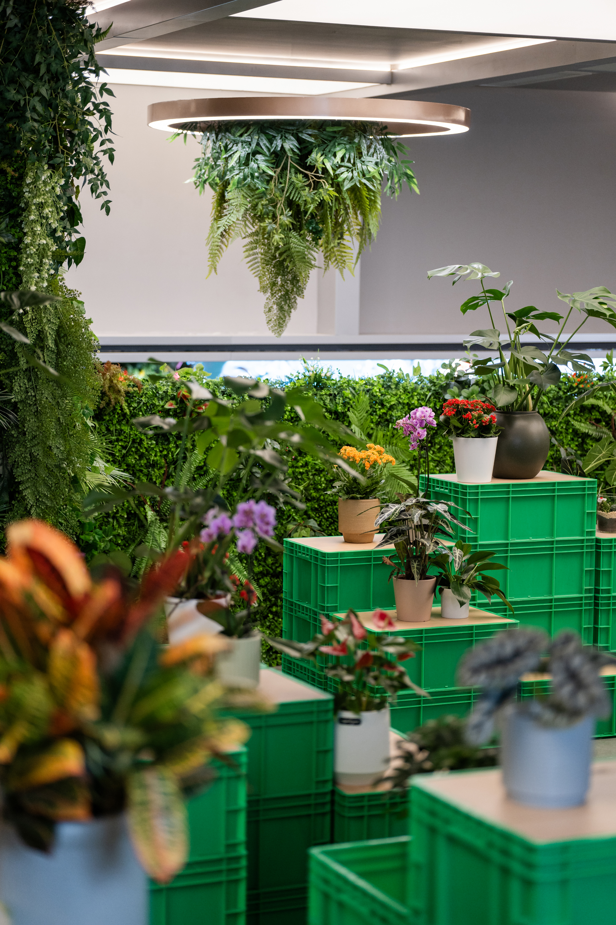 北京超极合生 迷失在花鸟鱼虫市场里的年轻人。-37