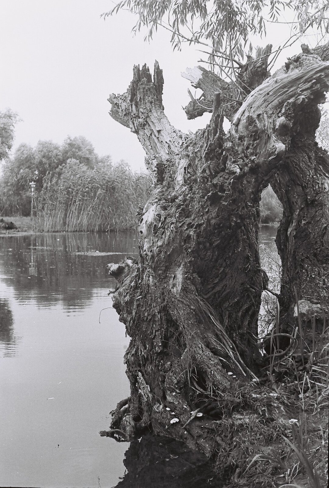 三角洲多瑙河建筑设计规范制定及相关建筑项目-126